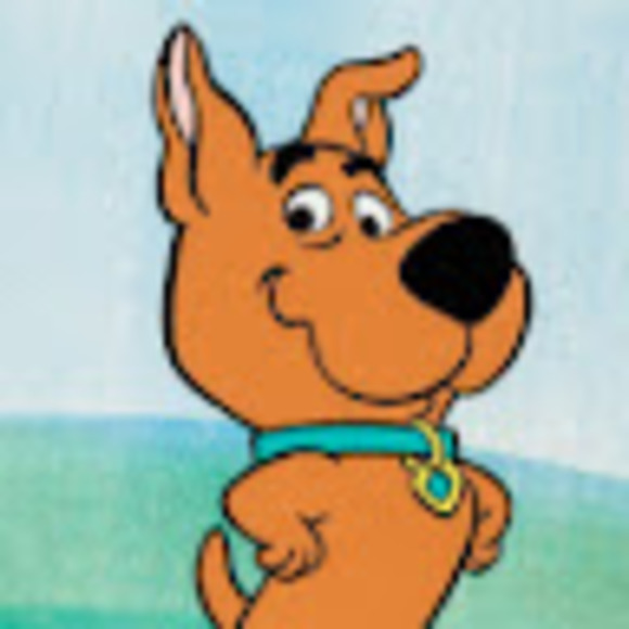 Meet your Posher, Ash - Picture 1 of 1